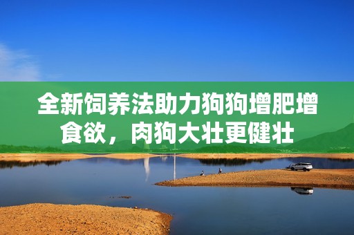 全新饲养法助力狗狗增肥增食欲，肉狗大壮更健壮