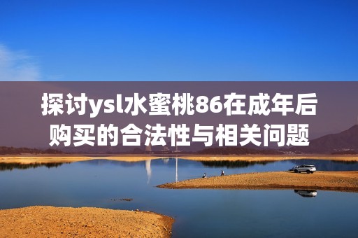 探讨ysl水蜜桃86在成年后购买的合法性与相关问题